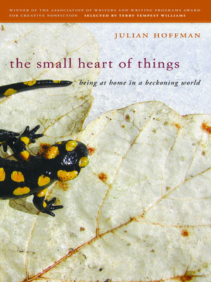 cover image of The Small Heart of Things